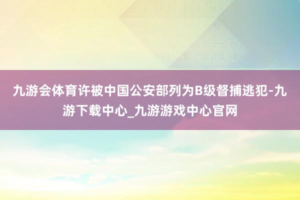 九游会体育许被中国公安部列为B级督捕逃犯-九游下载中心_九游游戏中心官网