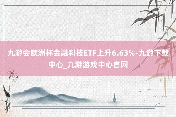 九游会欧洲杯金融科技ETF上升6.63%-九游下载中心_九游游戏中心官网